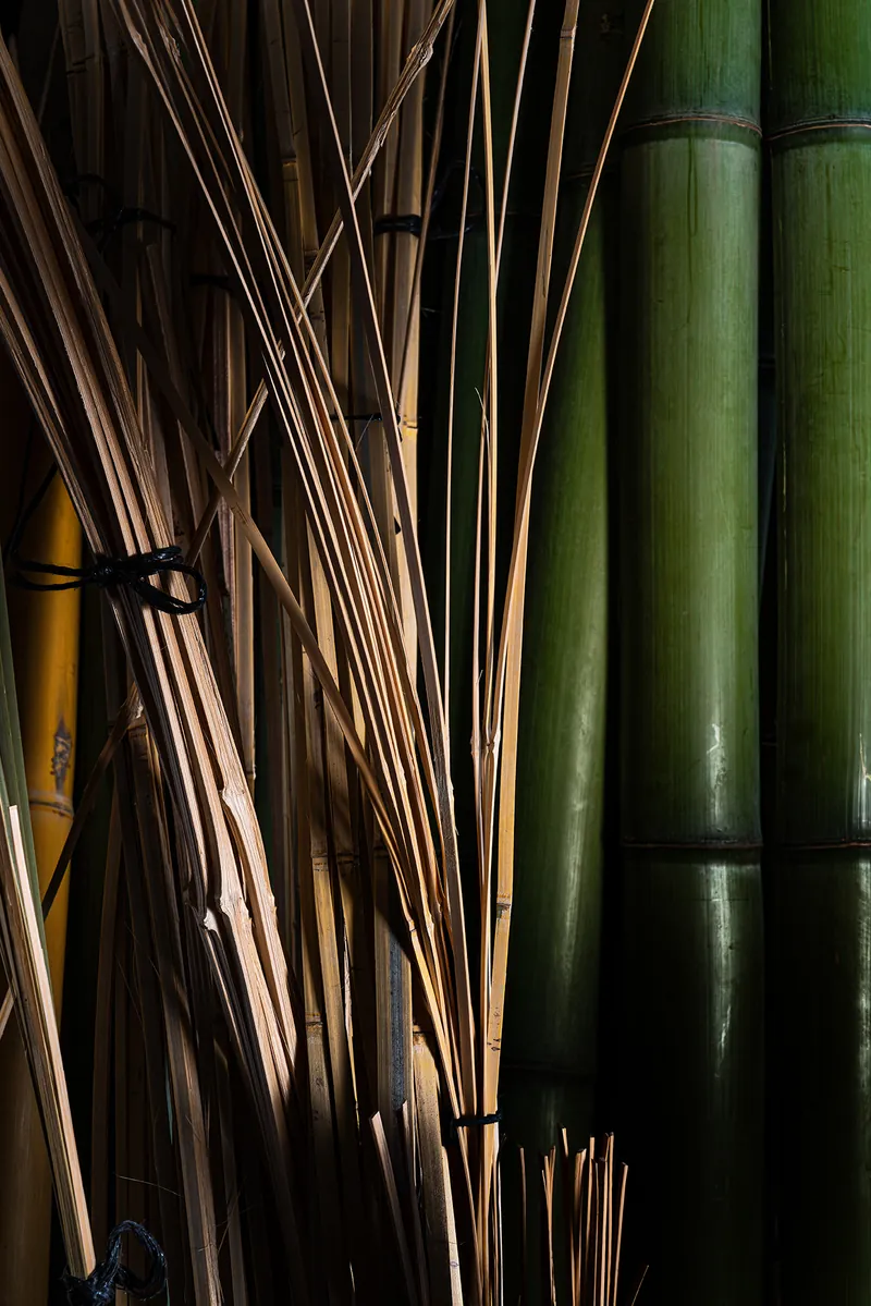 Cannes brutes et travaillées